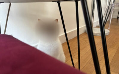 Face Privacy, un outil pour flouter facilement vos photos