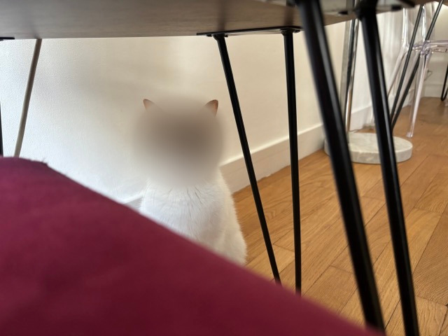Face Privacy, un outil pour flouter facilement vos photos