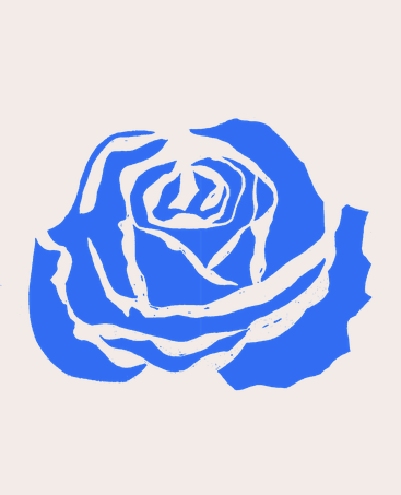 In fair Verona, we did lay our scene